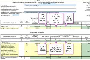 Разъяснения минфина по составлению форм бухгалтерской отчетности Порядок заполнения формы 737 для автономных учреждений